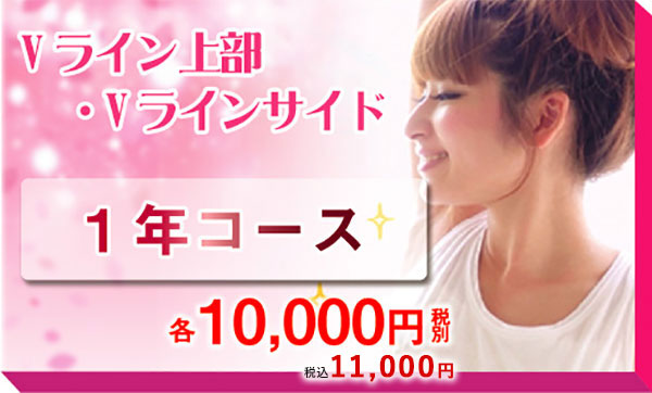 Vライン上部・Vラインサイド　１年コース　各10,000円（税別）