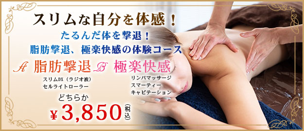 スリムな自分を体感！たるんだ体を撃退！脂肪撃退、極楽快感の体験コース